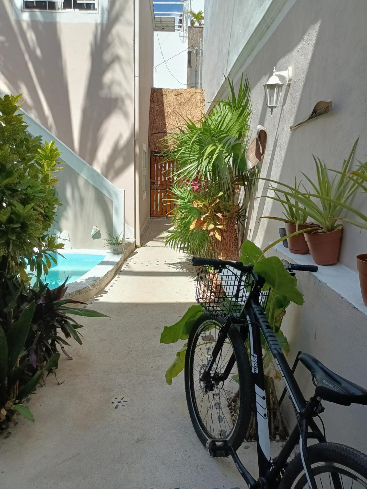Kika Studios Playa del Carmen Zewnętrze zdjęcie