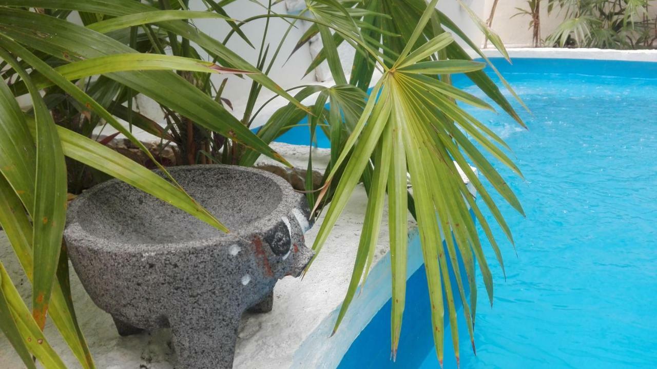Kika Studios Playa del Carmen Zewnętrze zdjęcie