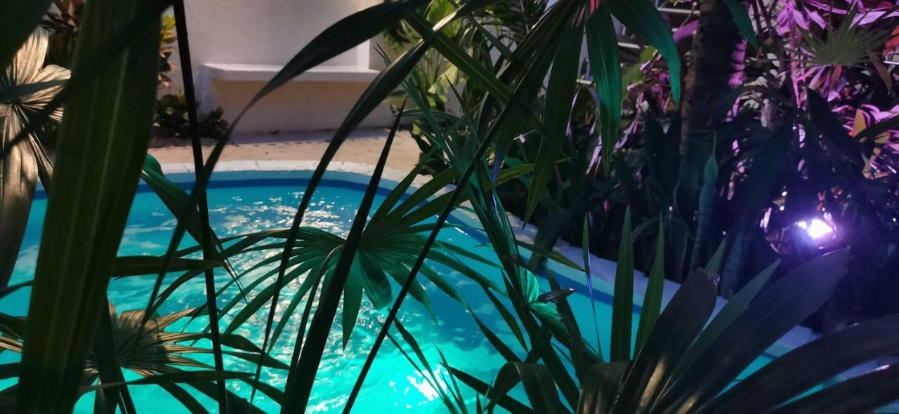Kika Studios Playa del Carmen Zewnętrze zdjęcie