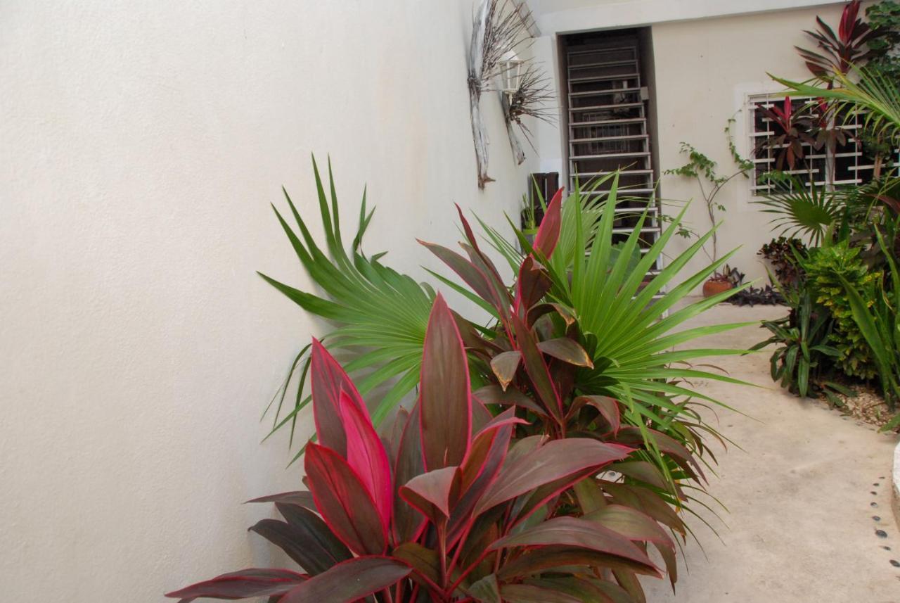 Kika Studios Playa del Carmen Zewnętrze zdjęcie
